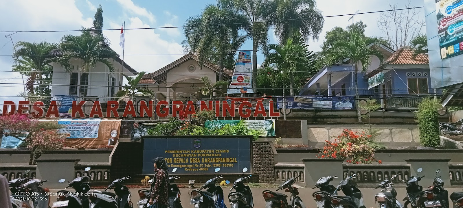 Pertanian Pedi